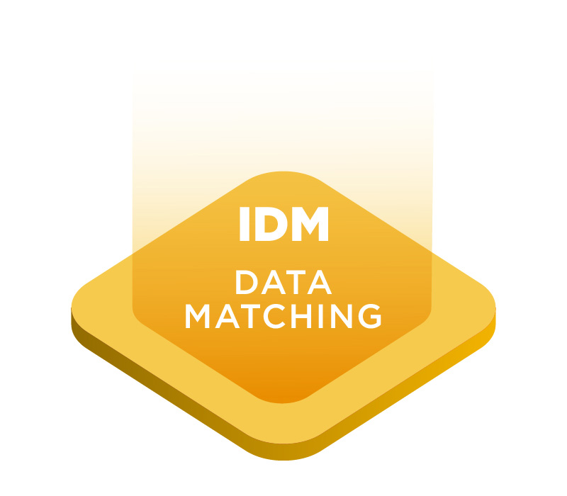 IDM - Data Matching