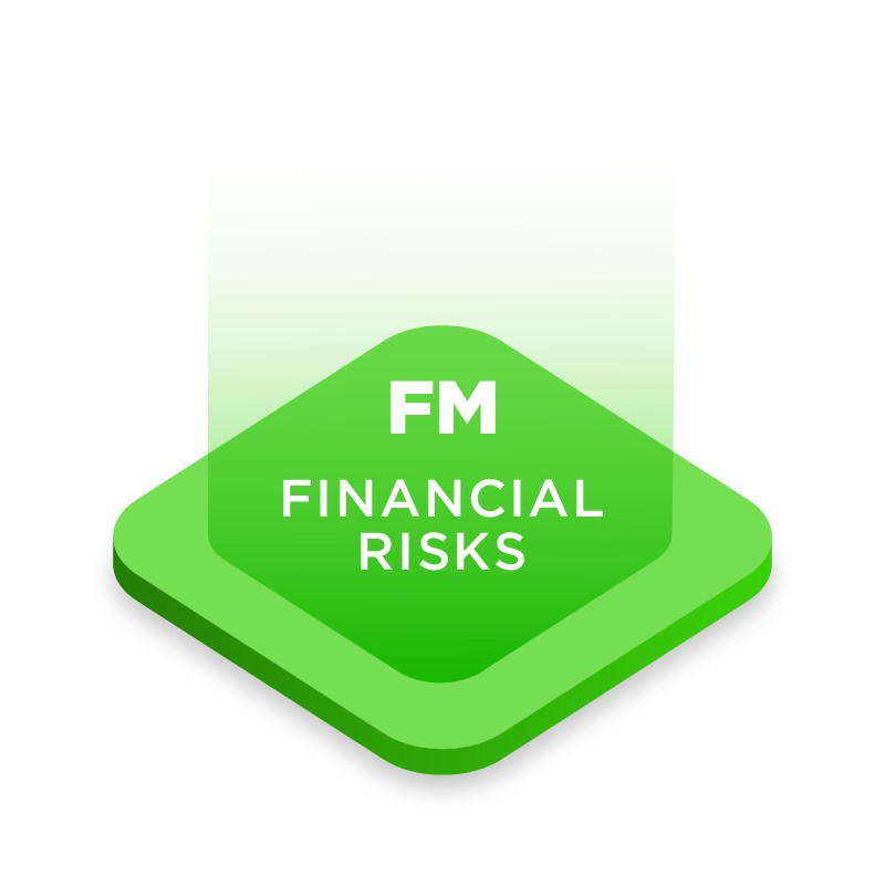 FM - Financial Risks